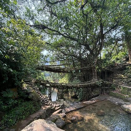 Odyssey Stays Nongriat - 3Kms Trek From Main Road 체라푼지 외부 사진
