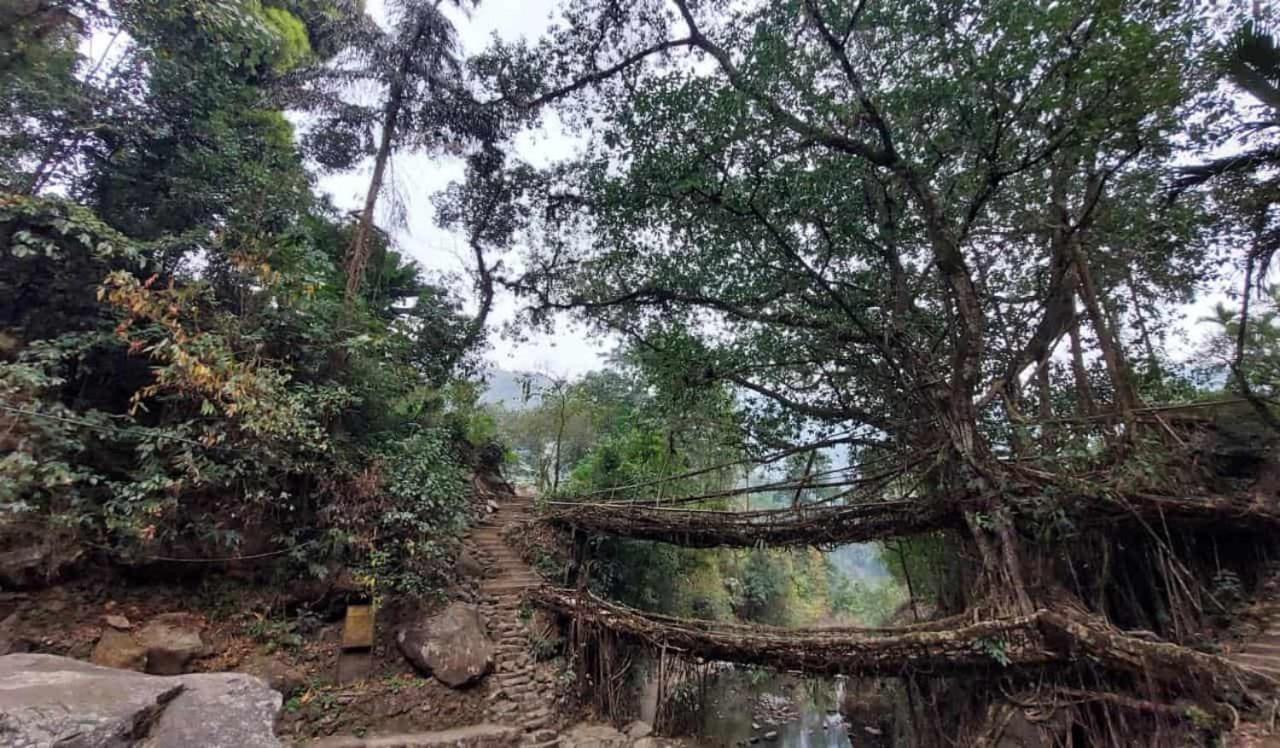 Odyssey Stays Nongriat - 3Kms Trek From Main Road 체라푼지 외부 사진
