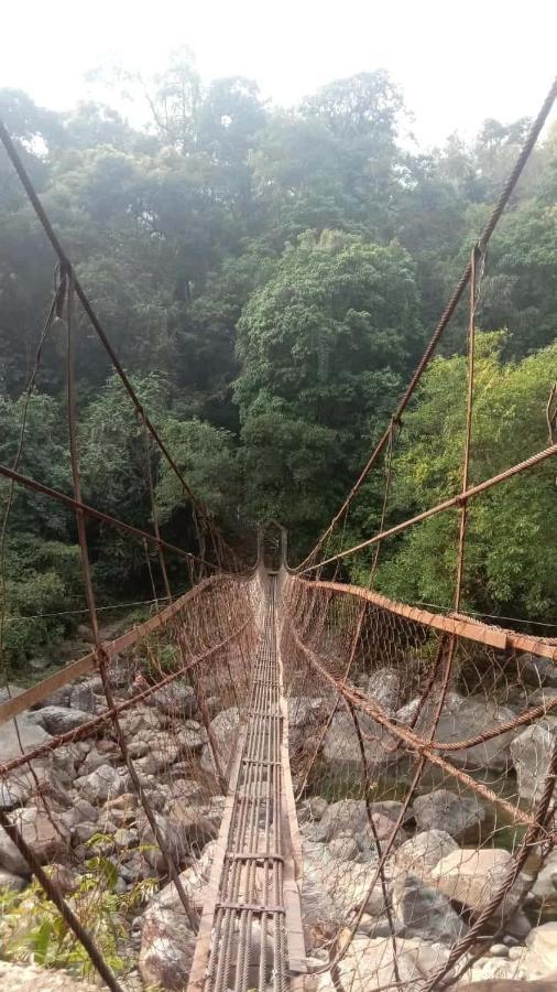 Odyssey Stays Nongriat - 3Kms Trek From Main Road 체라푼지 외부 사진